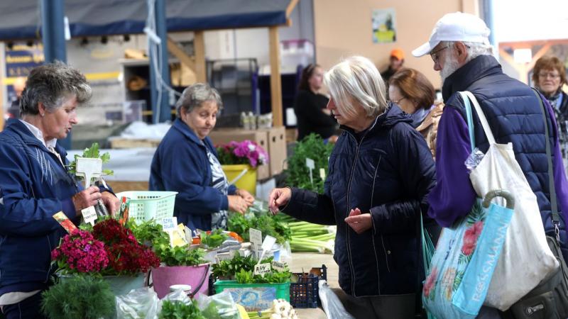 A tavasz minden árnyalatával beragyogta a piacot, színek kavalkádja ölelte körbe a látogatókat.