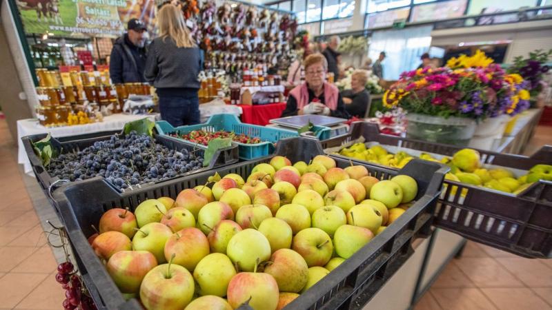 Ne vágj bele felesleges utazásba! Október 23-án Fejér megyében több helyszín is zárva lesz - itt találod a részletes listát.
