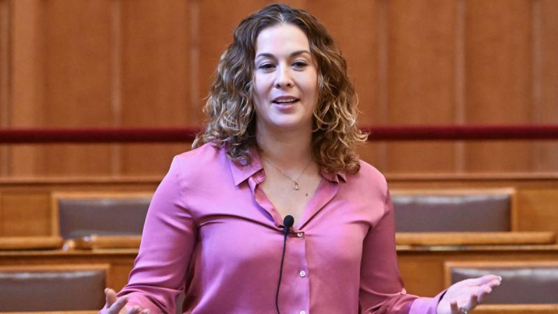 Cseh Katalin nevéhez fűződő bűnügy keretein belül illegális módon jutottak hozzá vállalkozásfejlesztésre tervezett pályázati forrásokhoz és hitelekhez.