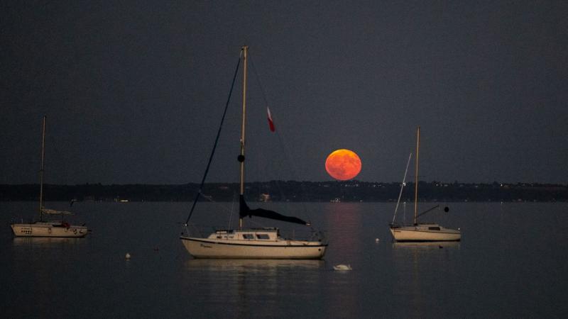 Egy nő váratlanul rosszul lett a Balaton hűvös vizében, és a helyzet szívverésnyi idő alatt vált kritikusabbá. A vitorlás kapitánya, aki mindent elkövetett, hogy segítsen, szintén határvonalon táncolt, hiszen a hajó irányítása közben a saját biztonsága is