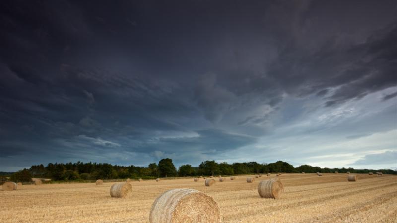 Felfedték, mikor várható a következő jelentős csapadék hazánkban: erre érdemes figyelnie a magyar lakosságnak - Agrárszektor.