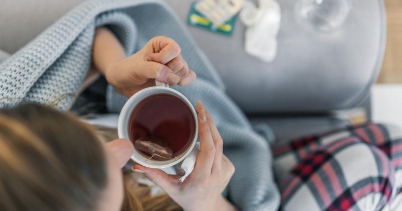 Ezek a gyógynövények a legmakacsabb megfázást is távol tartják - 6 különleges tea, ami enyhíti a torokfájást!