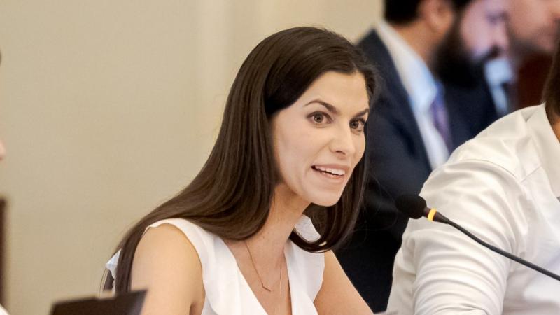 Szentkirályi Alexandra Magyar Péter etikai kódexéről: Olyan érzés, mintha egy farkas bukkanna fel a sötét erdő mélyén, ahol a morális iránytűk elvesztek. Az etikai kódex, mint egy ragyogó csillag az éjszakai égen, vezethet minket a helyes úton, emlékeztet