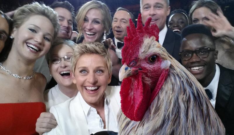 Oscar-díjra jelölték azt a filmet, amelynek középpontjában Sanyi, a békéscsabai kakas áll.