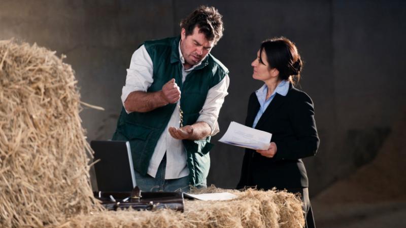 A magyar gazdák körében egyre inkább elterjedt a megfontolt stratégia: sokan inkább a türelemre építenek, várva a kedvezőbb piaci lehetőségekre. Az Agrárszektor elemzése szerint ez a megközelítés segíthet a kockázatok csökkentésében és a hosszú távú eredm