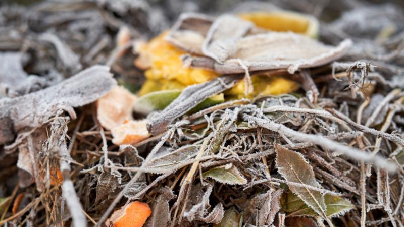 Sarkvidéki hideg érkezik Magyarországra: megérkezik a valódi tél - Agrárszektor

Felkészült a természet a télre, ugyanis a sarkvidékről érkező hideg levegő már utat tör magának hazánkba. Az igazi téli időjárás nemsokára beköszönt, és a hőmérsékletek drasz